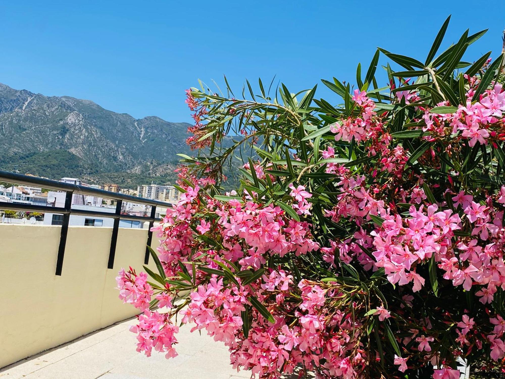 The First Line Of The Sea Apartamento Marbella